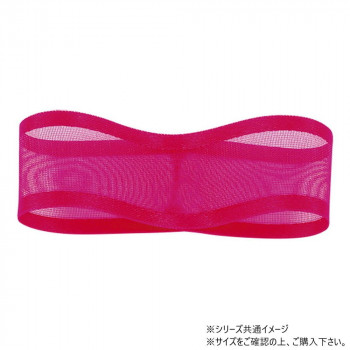 青山　リボン シェアーサテン 10mm×30m 218-15