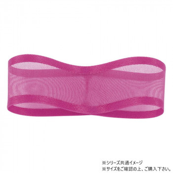 青山　リボン シェアーサテン 10mm×30m 218-26
