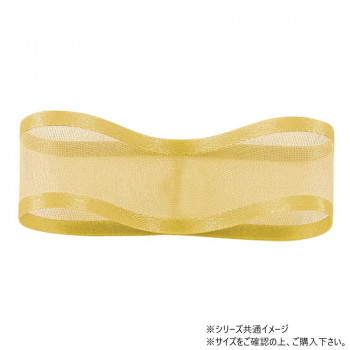 青山　リボン シェアーサテン 10mm×30m 218-45