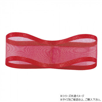 青山　リボン シェアーサテン 10mm×30m 218-55