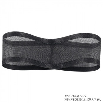青山　リボン シェアーサテン 22mm×30ｍ 194-33