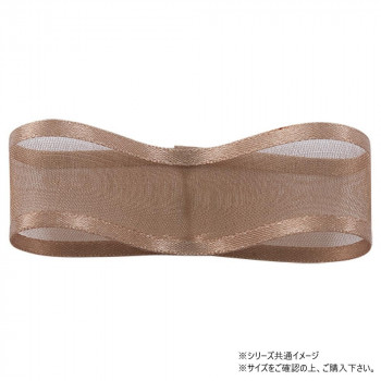 青山　リボン シェアーサテン 22mm×30ｍ 194-35
