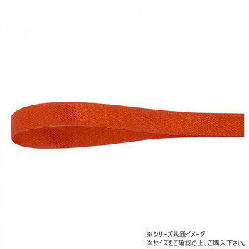 青山　リボン リーガルサテン グランプリ 3mm×48m 1299-304