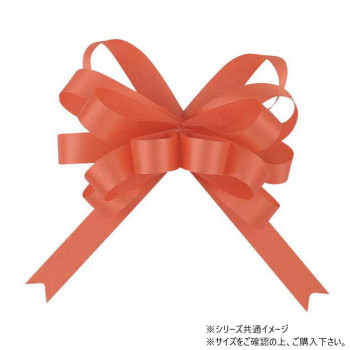 青山　リボン　ワンタッチリボン ループボウ カスタムサテン 13mm幅×50枚入 6896-53