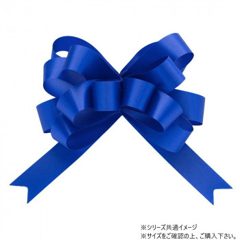 青山　リボン　ワンタッチリボン ループボウ カスタムサテン 22mm幅×50枚入 6898-22