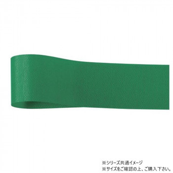 青山　リボン ロイヤルタフタ 6mm×100m 6701-11