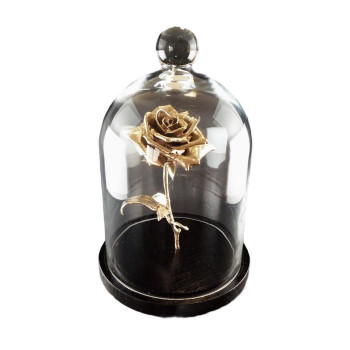 キャステム 世界に一つだけの薔薇