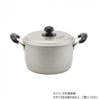 エシャロット 兼用鍋 22cm 50004533