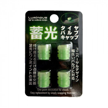 ブレイス 蓄光バルブ4個入 GR BG-960
