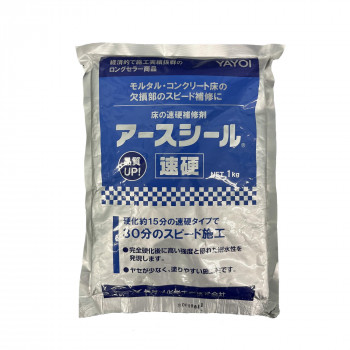 ヤヨイ化学 アースシール速硬 1kg 補修材