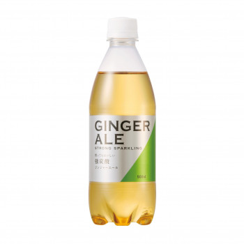 友桝飲料 ジンジャーエール(友桝)500ml 24本入 2102485