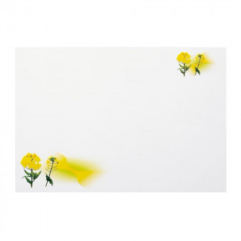 神堂 グラデーションマット 菜の花 100枚 お座敷やテーブル用 演出用マット 14942