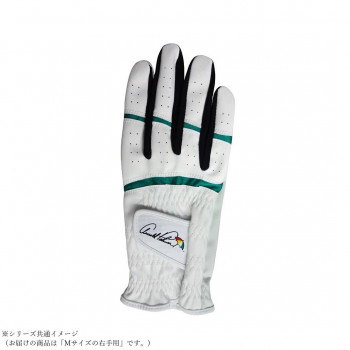 アーノルドパーマー メンズ ゴルフグローブ ホワイト/グリーン APG-116 右手Mサイズ