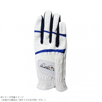 アーノルドパーマー メンズ ゴルフグローブ ホワイト/ネイビー APG-116 右手Mサイズ