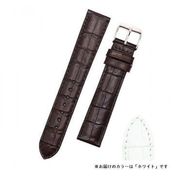 ロシェ 腕時計用ベルト チャールストン 18/16mm 115/80mm ホワイト 5491802ST