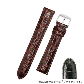ロシェ 腕時計用ベルト チェルシー 12/10mm 110/70mm ブラック 6390301